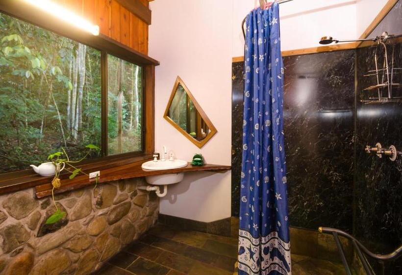 오두막, Epiphyte B & B