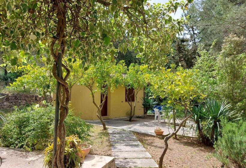 اتاق لوکس, Terme Acqua Pia