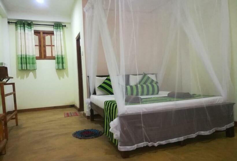 Quarto Estandar, Dinaro Guest