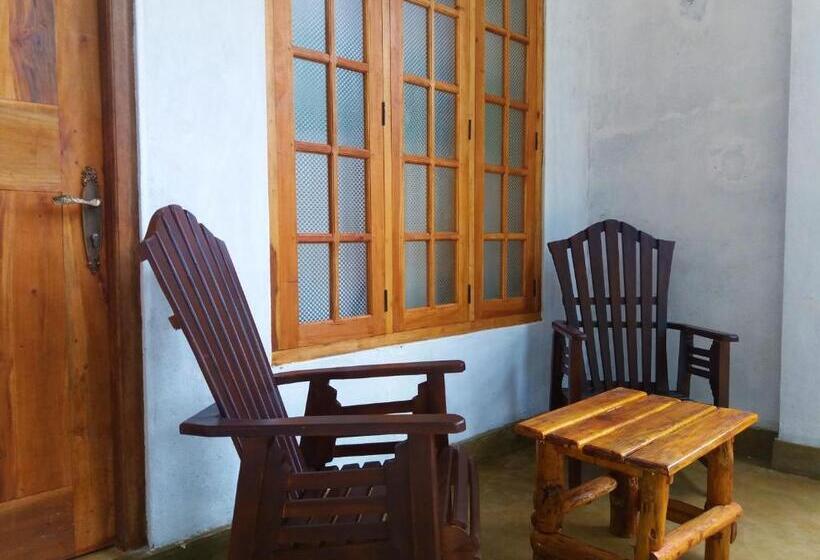 Quarto Estandar, Dinaro Guest