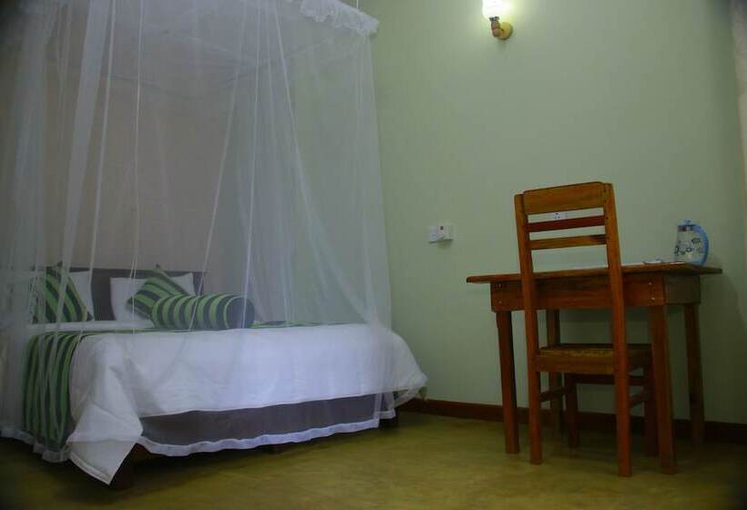 Quarto Estandar, Dinaro Guest