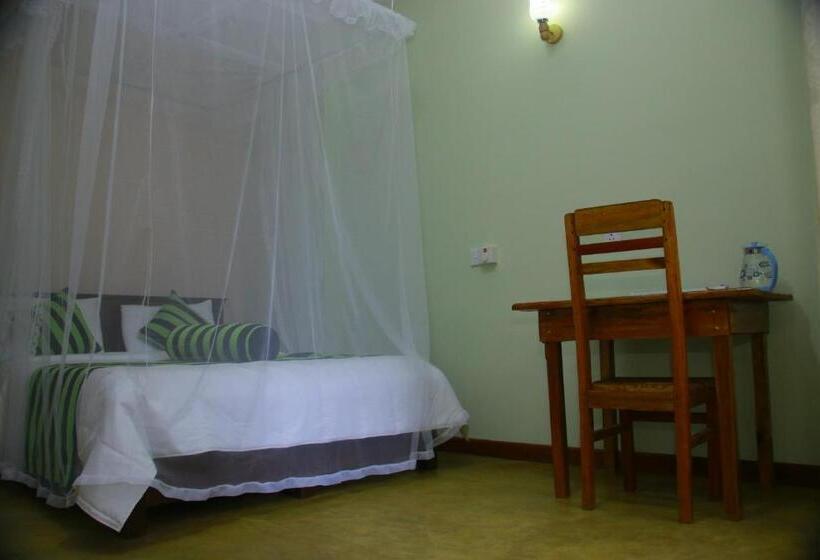 Quarto Estandar, Dinaro Guest