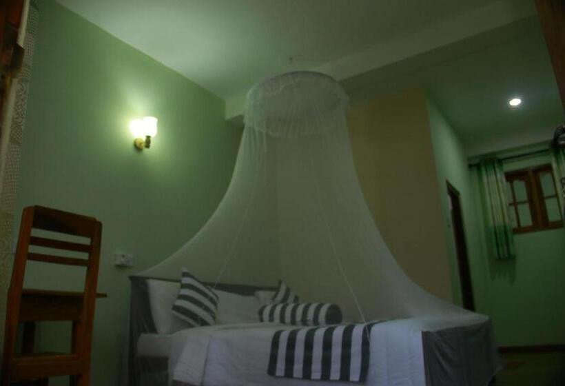 Quarto Estandar, Dinaro Guest