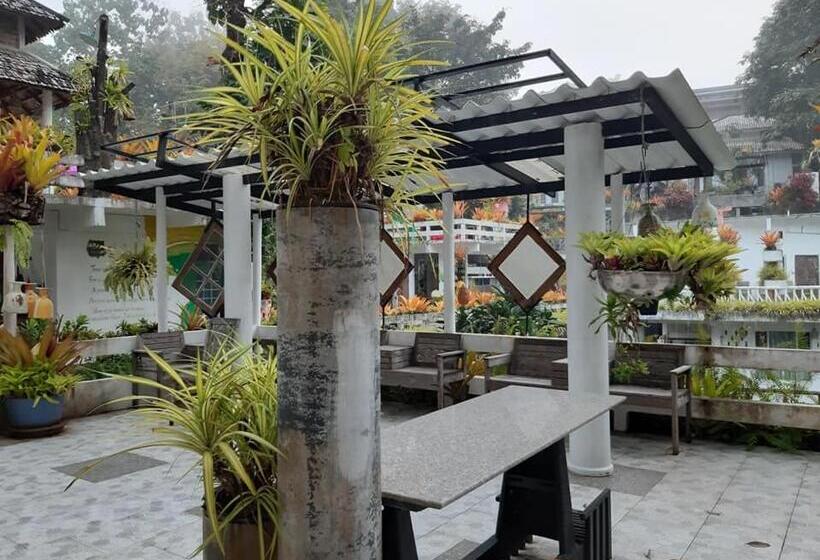 带阳台的豪华间, Banthorphan Resort