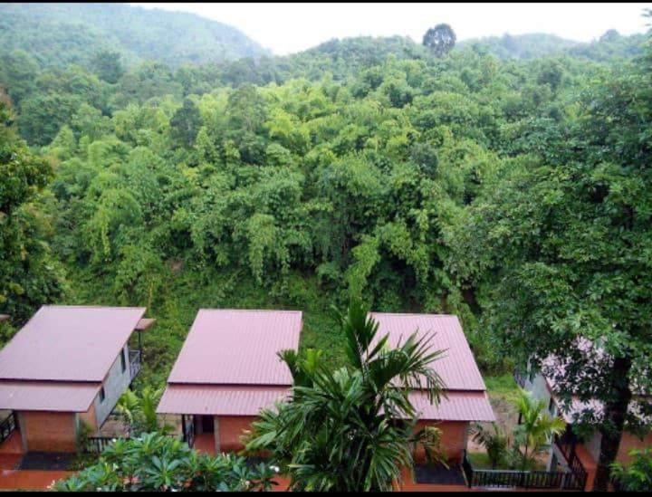 Бунгало Стандарт, Sangkla Resort