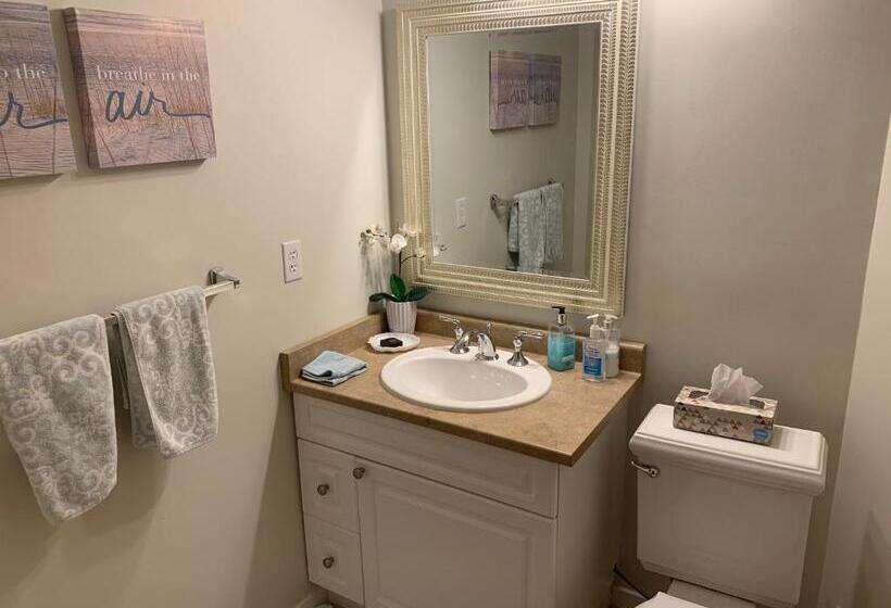 带特大床的标准间, Bayview B&b
