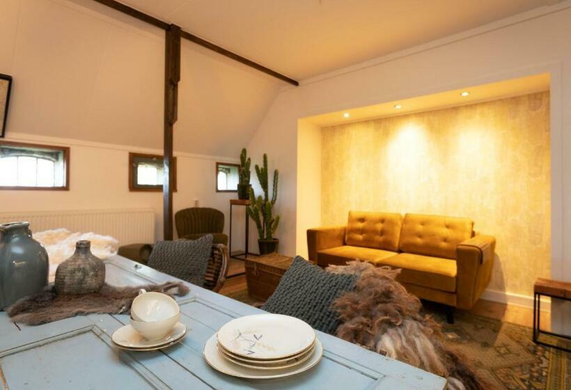 Семейные Апартаменты, Logement Doosje