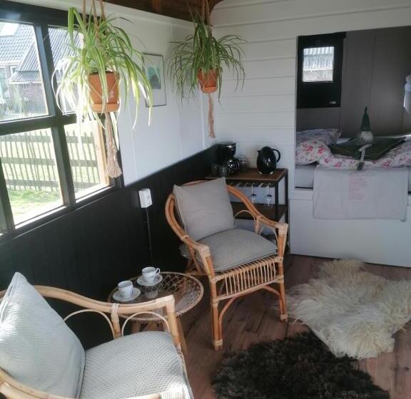 غرفة قياسية, Logement Doosje