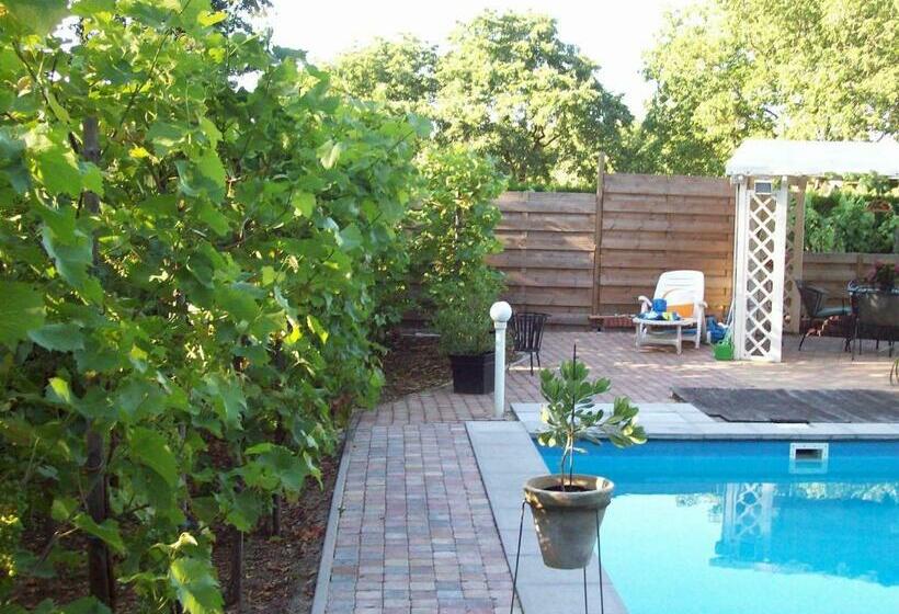 Апартаменты 1 Спальня, Vakantie Appartementen Engelen