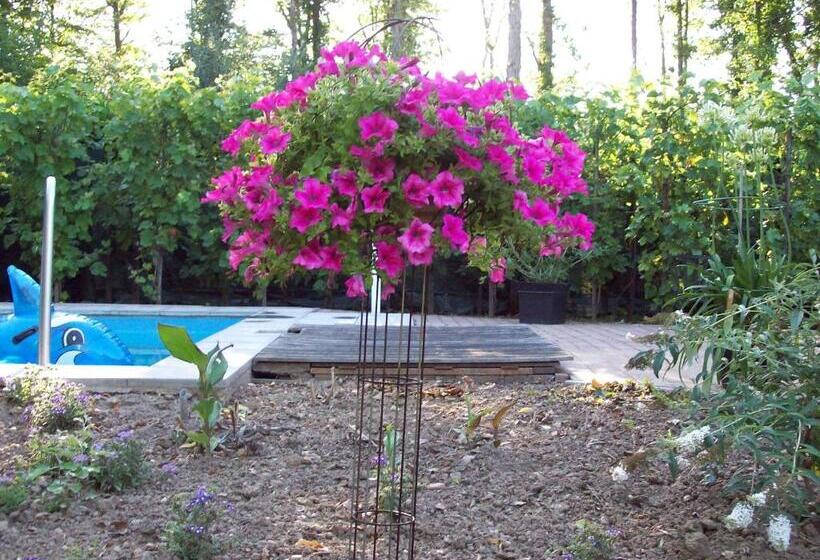 Студия Стандарт, Vakantie Appartementen Engelen
