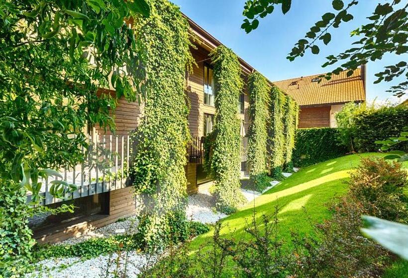 带1个卧室的公寓, Hôtel La Croix Blanche