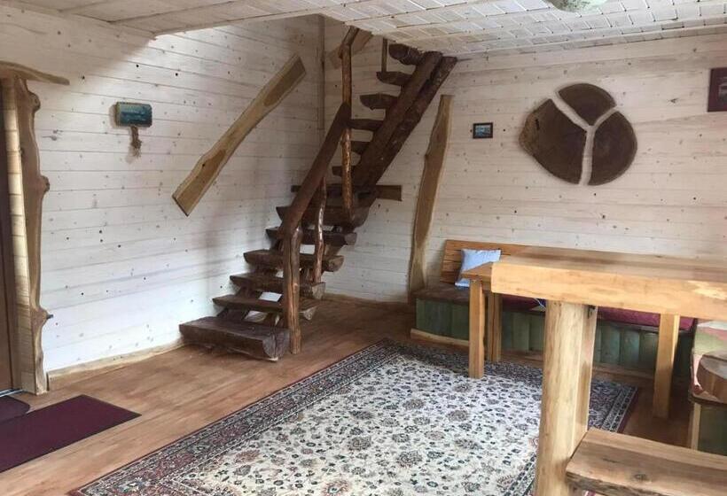 خانه 1 خوابه, Kostel House
