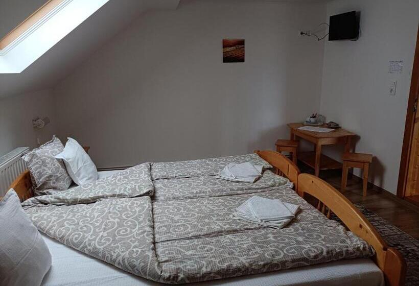 اتاق استاندارد با سرویس بهداشتی مشترک, Nárcisz B&b