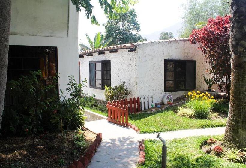 سوییت, Casa Del Gringo