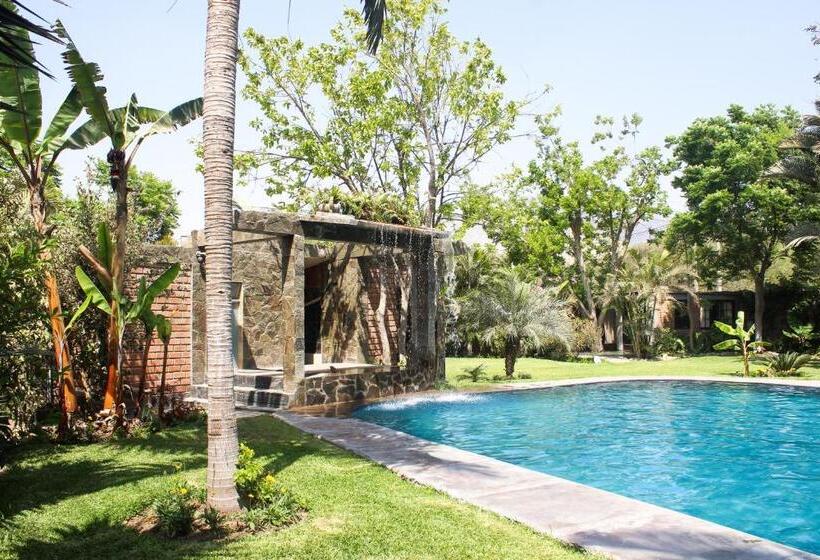 سوییت خانوادگی, Casa Del Gringo