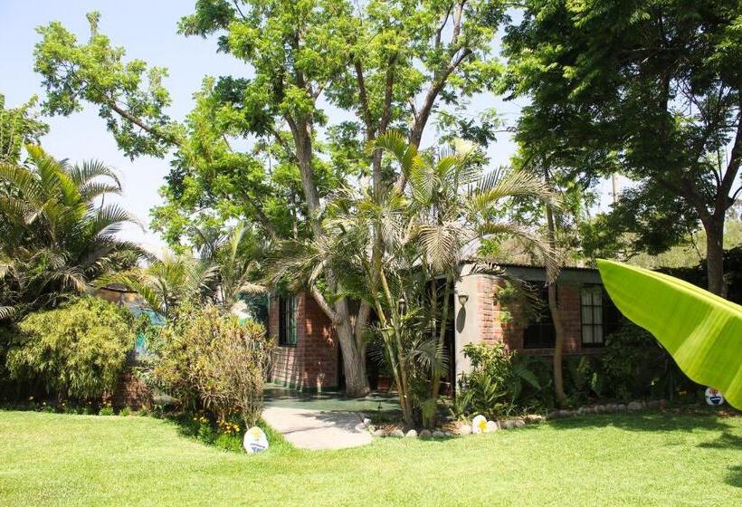 اتاق استاندارد, Casa Del Gringo