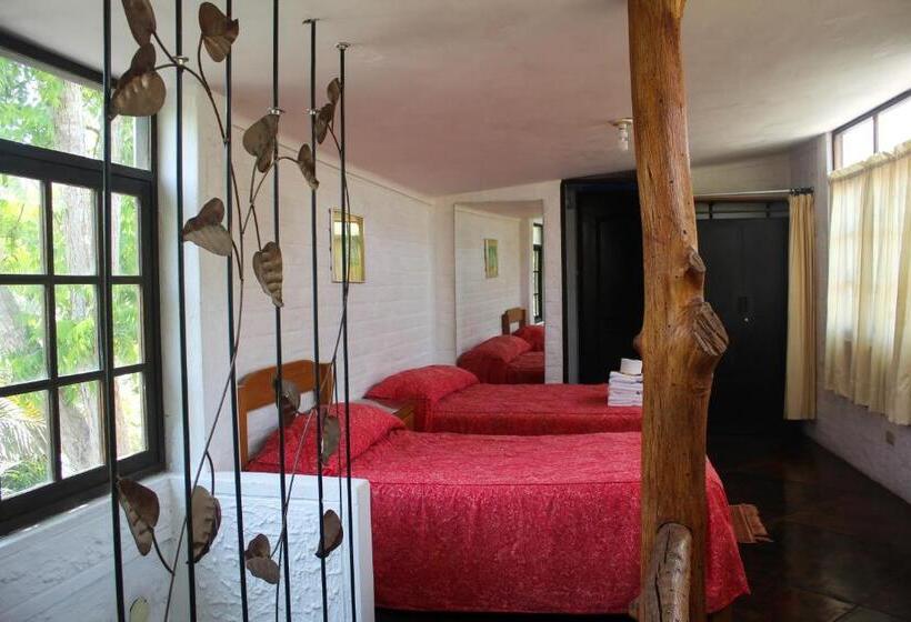 بنگله خانوادگی, Casa Del Gringo