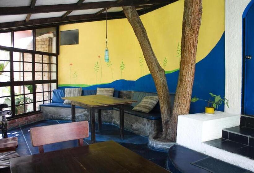 بنگله خانوادگی, Casa Del Gringo