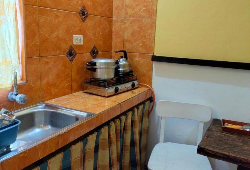 سوییت, Casa Del Gringo
