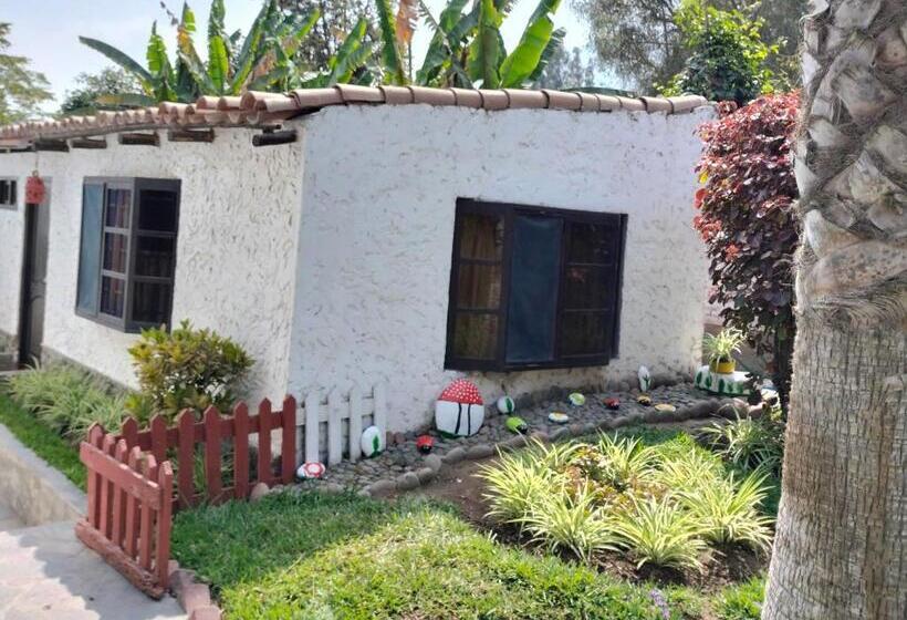 سوییت خانوادگی, Casa Del Gringo
