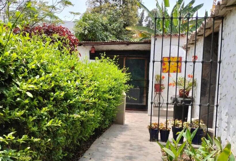 بانگلوی استاندارد, Casa Del Gringo