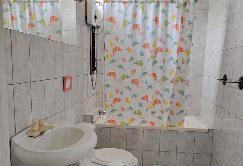 بنگله خانوادگی, Casa Del Gringo