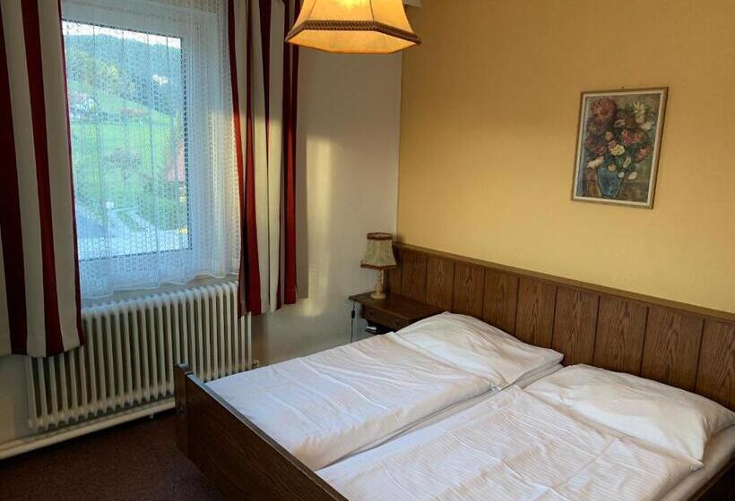 スタンダードルーム, Gasthof Seelhofer