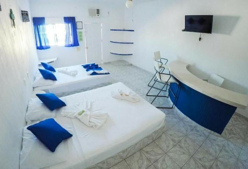 Quarto Estandar, Paraiso Kora