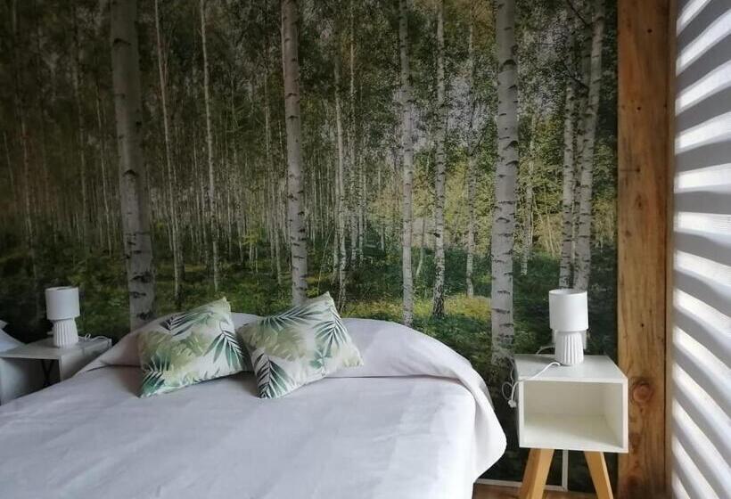 Номер Стандарт, Lodge Los Bosques
