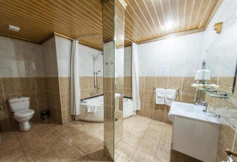 Люкс Повышенной Комфортности, Bucharest Comfort Suites
