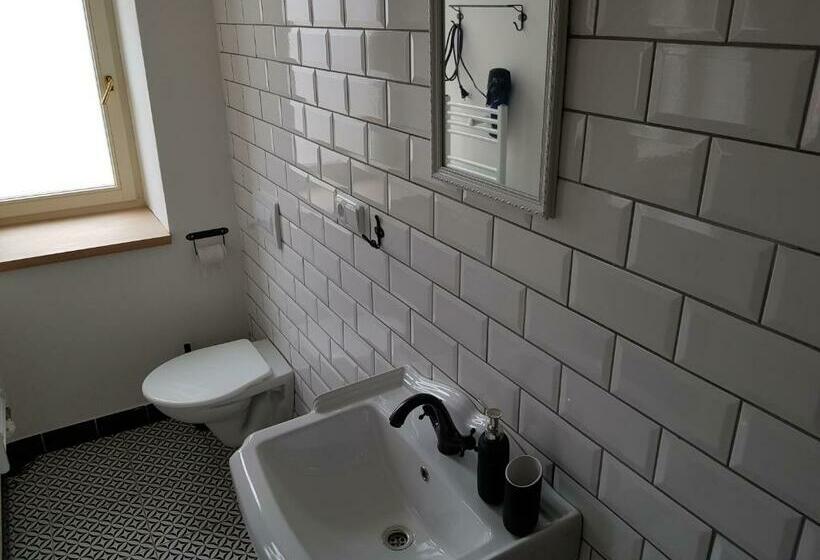 デラックスルーム, Vila Janáčkova   1st Republic Villa