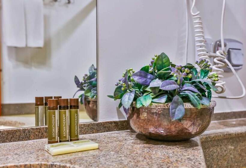 اتاق استاندارد با تخت دوبل, Golden Tulip Goiania Address