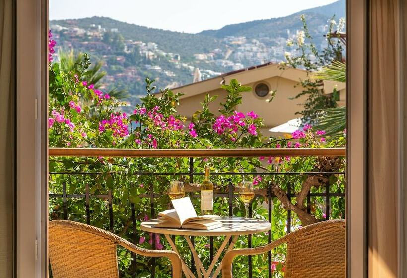 آپارتمان 1 خوابه با چشم‌انداز باغ, Korsan Apartments
