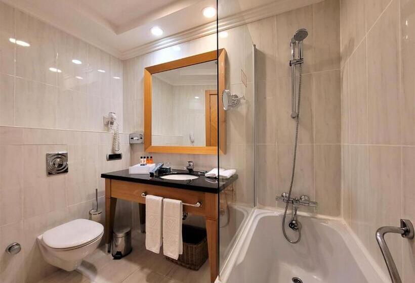 带大床的标准间, Wyndham Grand Izmir Ozdilek Thermal & Spa