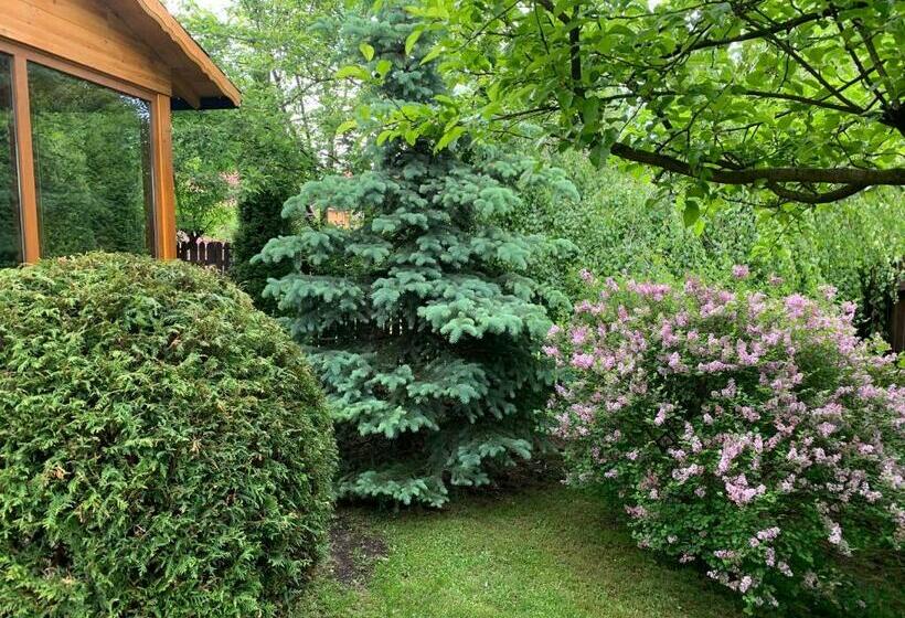シャレー1寝室, Chalet Milenium Residence Bran