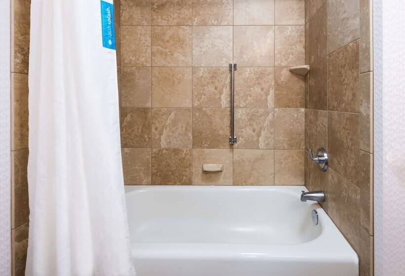 Люкс, Hampton Inn & Suites Buffalo Downtown