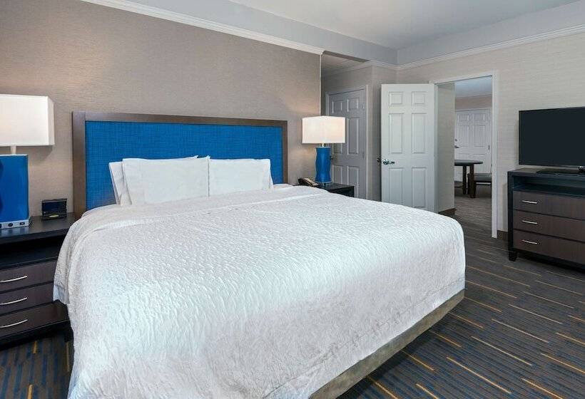 Люкс, Hampton Inn & Suites Buffalo Downtown