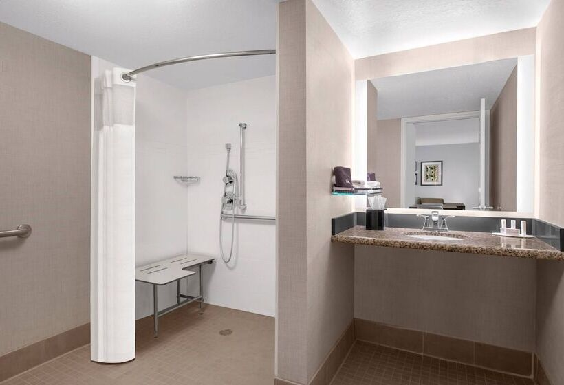 Люкс, Residence Inn By Marriott Salt Lake City Downtown