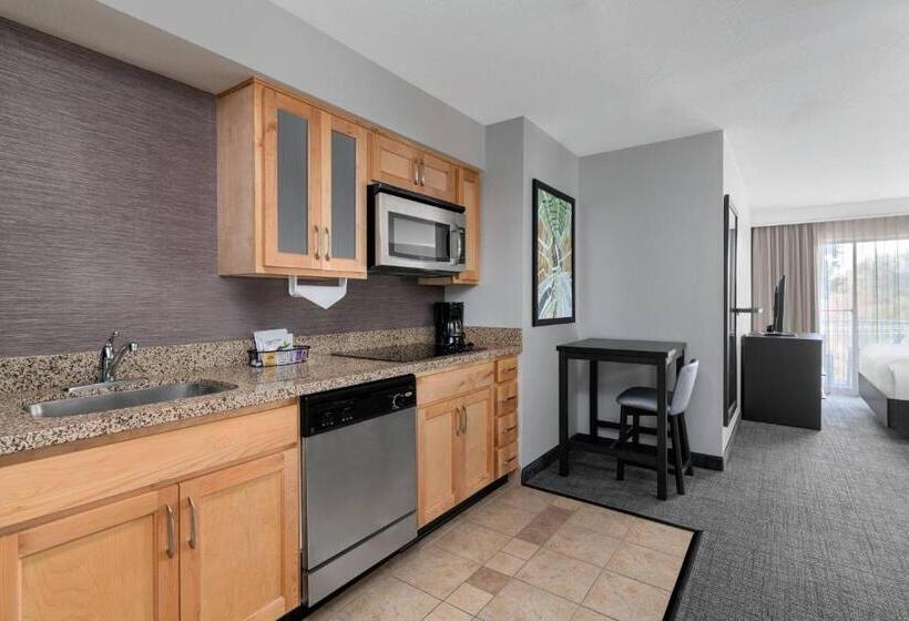 Студия Стандарт, Residence Inn By Marriott Salt Lake City Downtown