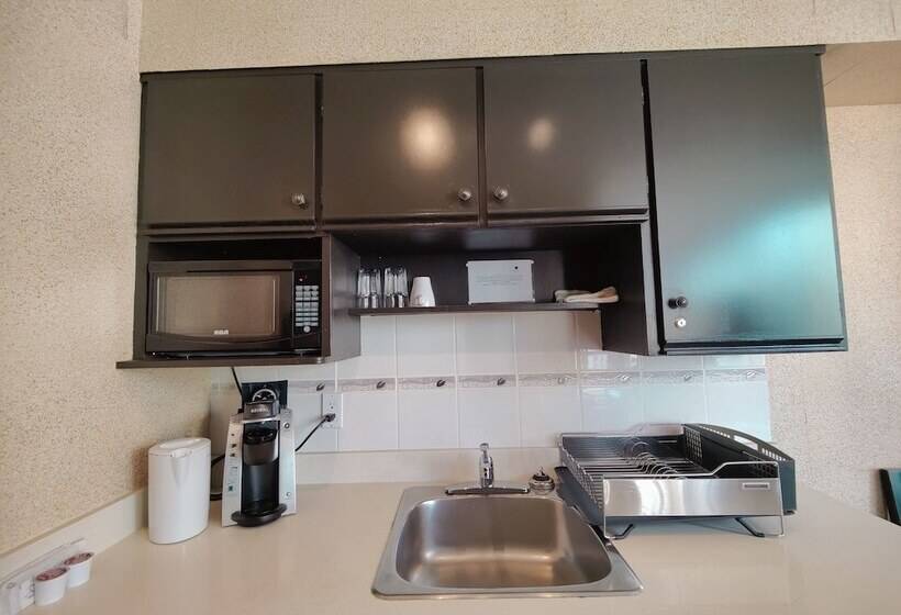 带1个卧室的带阳台的公寓, Divya Sutra Suites On Robson Downtown Vancouver
