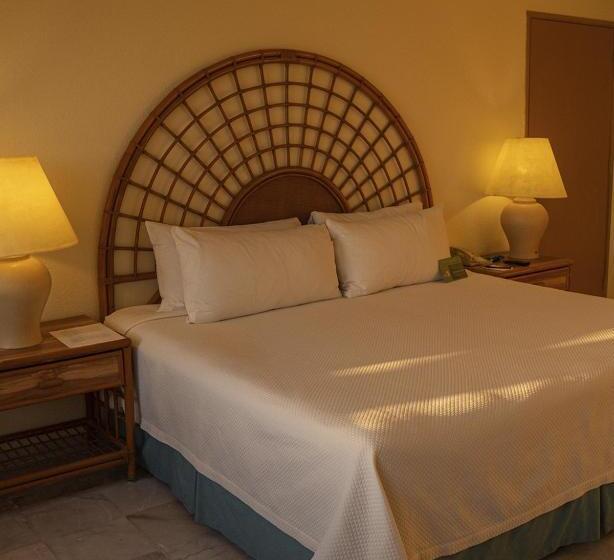 اتاق استاندارد با تخت بزرگ, Samba Vallarta All Inclusive