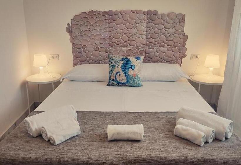 اتاق استاندارد, Hippocampus B&b
