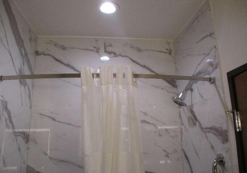 Люкс, Best Western Plus Chickasha Inn