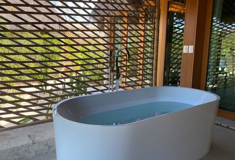سوئیت جونیور با تخت بزرگ, Xixim Mundo Imperial – Wellness All Inclusive