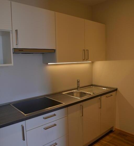 Апартаменты 1 Спальня с Балконом, Panorama Residence öhlerhof