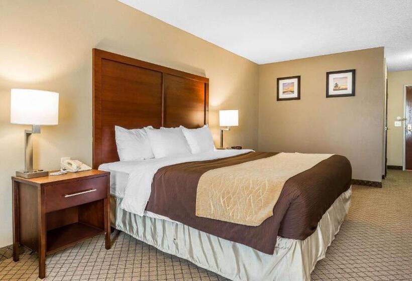 스탠다드 룸 킹사이즈 침대, Comfort Inn & Suites Mishawakasouth Bend