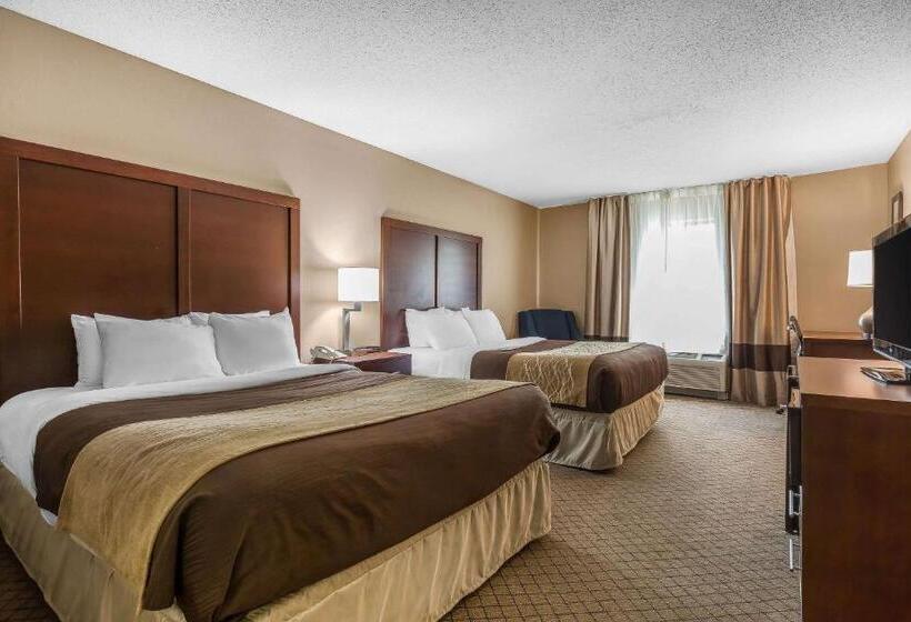스탠다드 룸, Comfort Inn & Suites Mishawakasouth Bend
