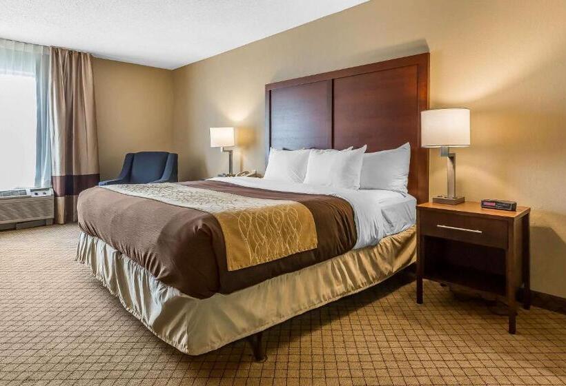 장애인을 위한 킹사이즈 침대 스탠다드 룸, Comfort Inn & Suites Mishawakasouth Bend