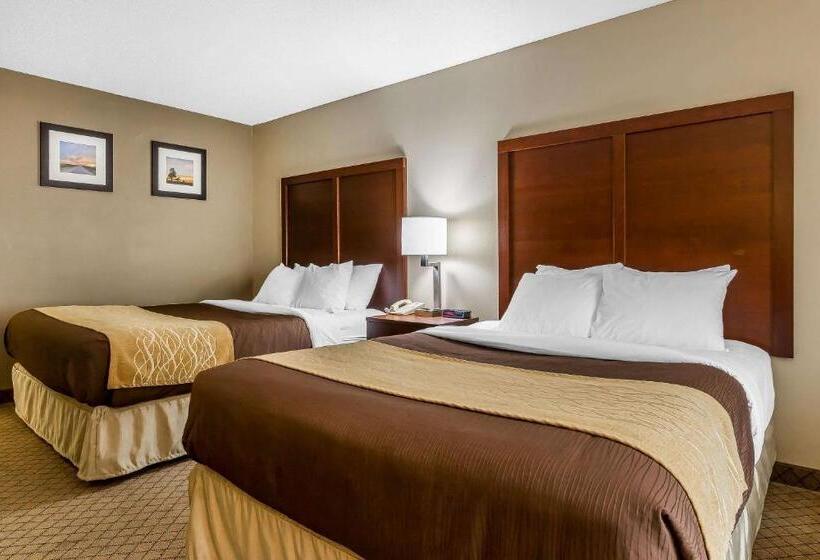 장애인을 위한 스탠다드 룸, Comfort Inn & Suites Mishawakasouth Bend