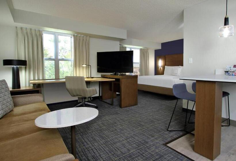Студио Стандарт Кровать Кинг, Residence Inn Scottsdale North